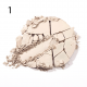Neverti Wet & Dry Powder